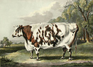 Engravings: British Fine Art