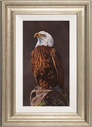 Wayne Westwood, Original oil painting on panel, Golden Eagle