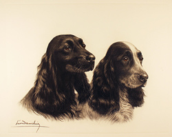 Engraving, Hand coloured restrike engraving, English Setters in Field
