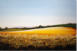 Gary Walton, Original oil painting on canvas, Summer Landscape Medium image. Click to enlarge