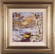 Terry Evans, Original oil painting on canvas, Winter Woodland Medium image. Click to enlarge