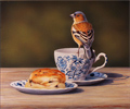 Wayne Westwood, Original oil painting on panel, Chaffinch