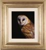 Wayne Westwood, Original oil painting on panel, Barn Owl Medium image. Click to enlarge