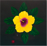 Andrew Flint Shipman, Acrylic on wood, Hibiscus Star