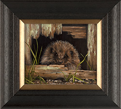 Carl Whitfield, Original oil painting on panel, Hedgehog