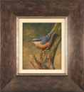 Carl Whitfield, Original oil painting on panel, Nuthatch Medium image. Click to enlarge