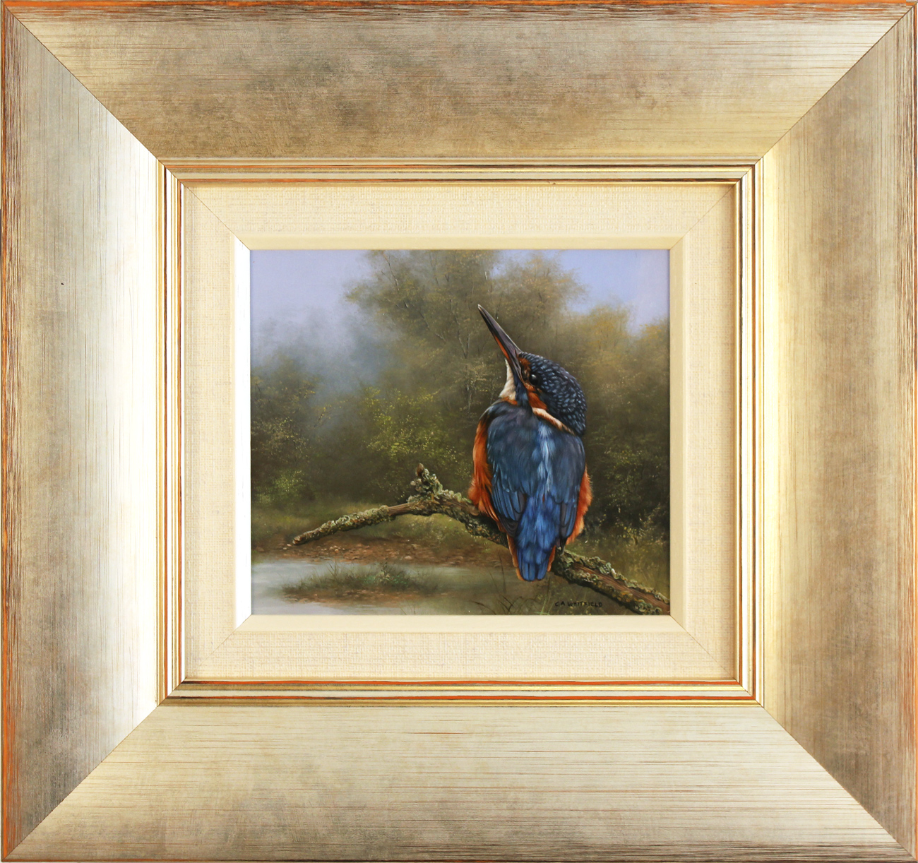 Carl Whitfield | Original oil painting on panel, Kingfisher, Art to buy ...