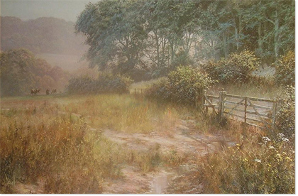 David Dipnall, Oil on canvas, Forest Side