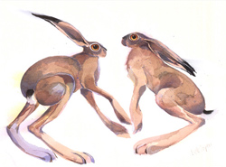 Mary Ann Rogers, Signed limited edition print, Hare Play