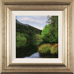 Michael James Smith, Original oil painting on panel, Northern Pine Medium image. Click to enlarge