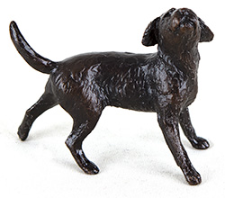 Michael Simpson, Bronze, Small Border Terrier