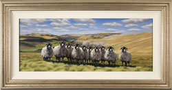 Natalie Stutely, Original oil painting on panel, Swaledale Flock Medium image. Click to enlarge