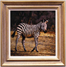 Stephen Park, Original oil painting on panel, Zebra Medium image. Click to enlarge