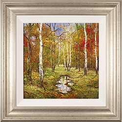 Terry Evans, Original oil painting on canvas, Autumn Birch Wood  Medium image. Click to enlarge